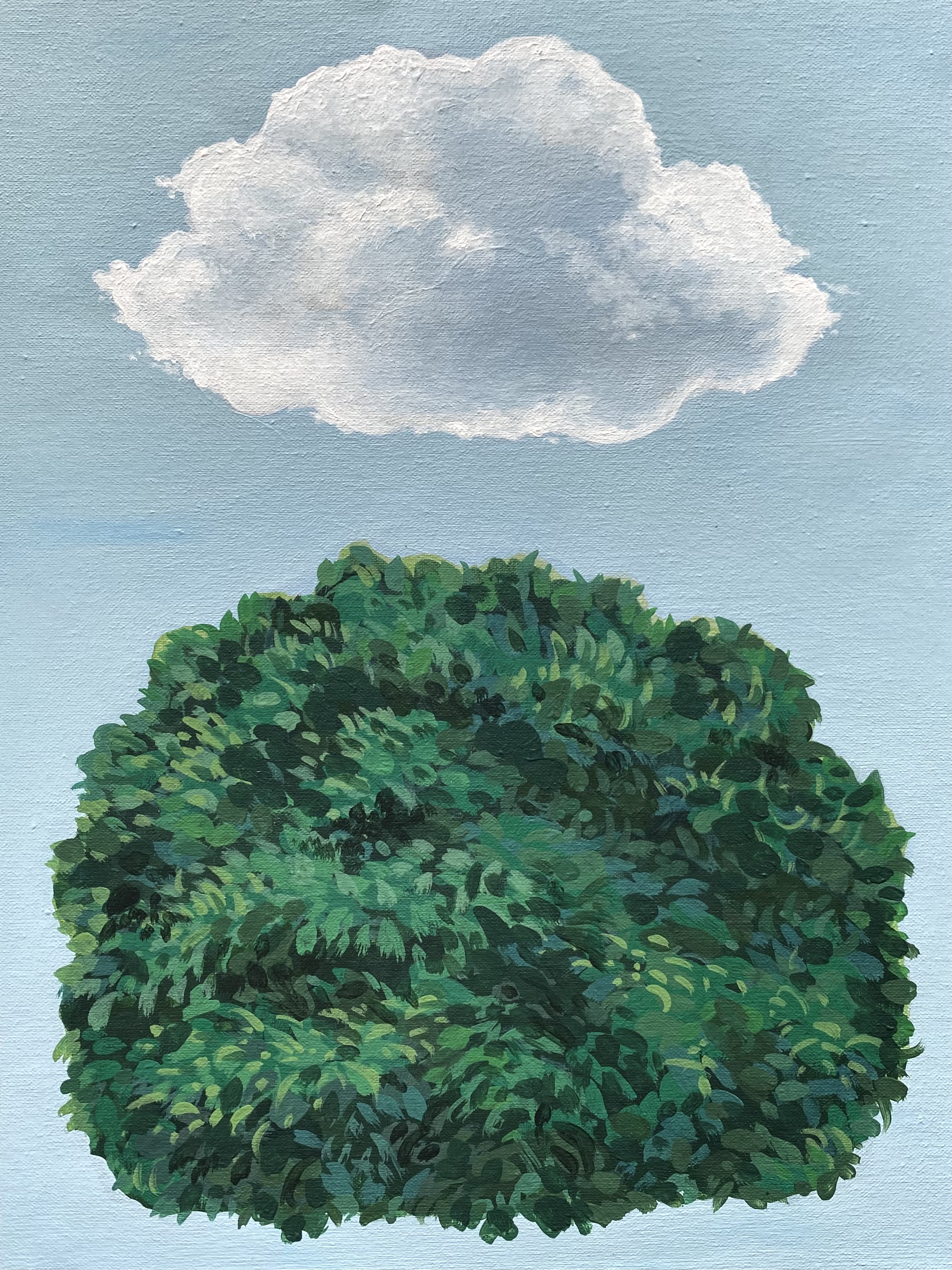 Tree in Kassel